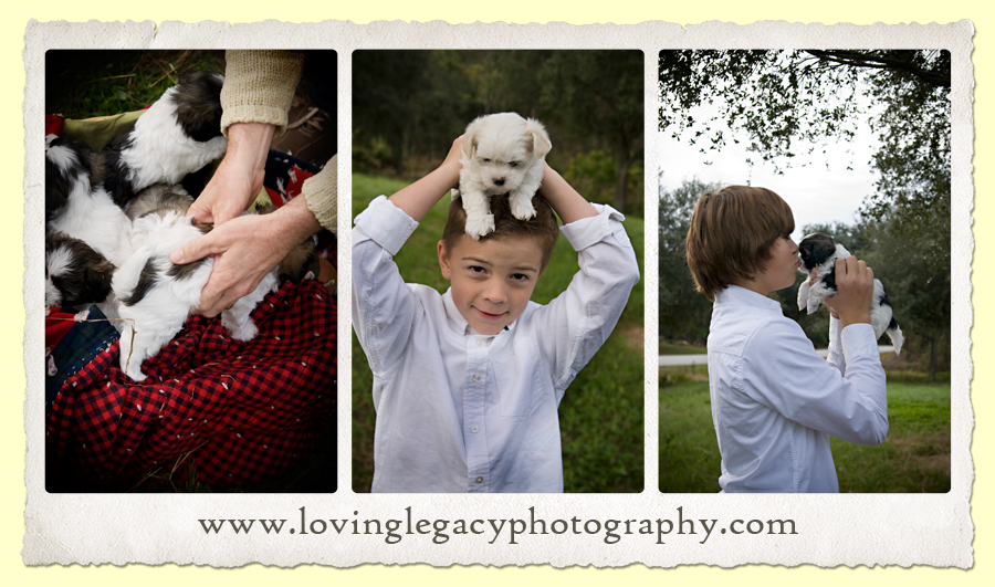 largo florida family portraits pet portraits loving legacy photography largo florida family portraits pet portraits loving legacy photography