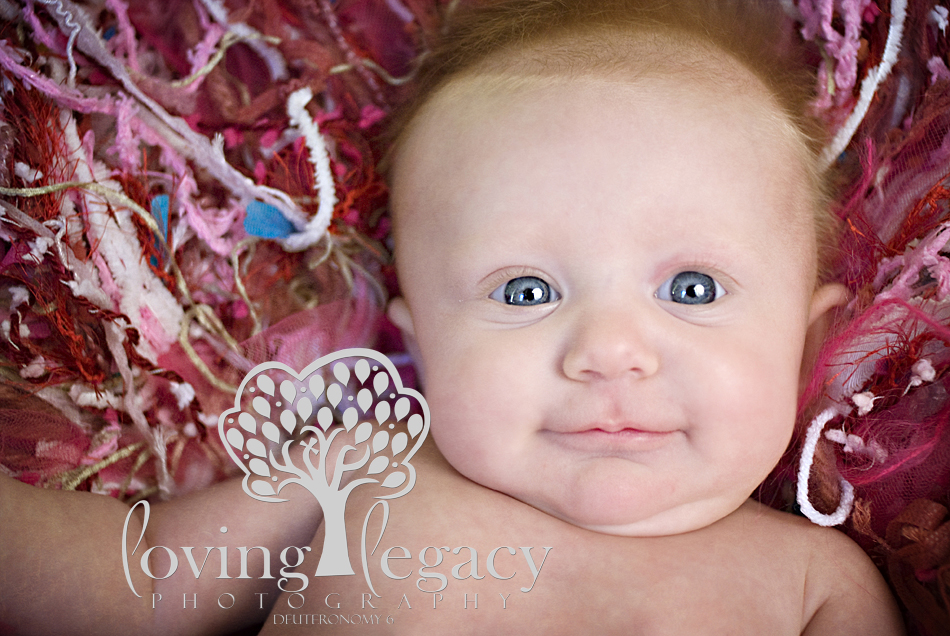 clearwater baby photographer loving legacy angela sackett