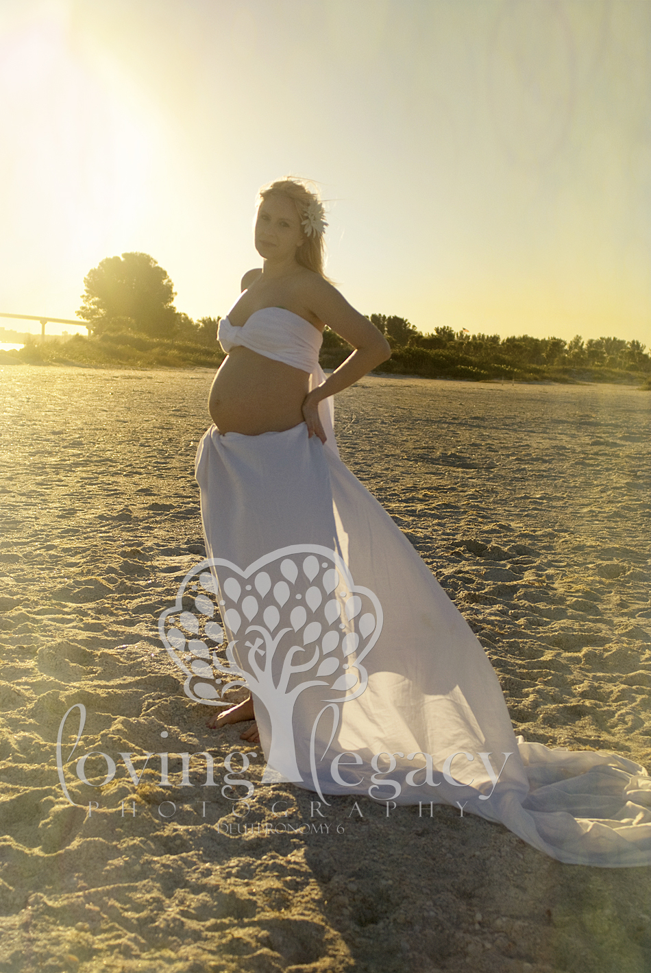 clearwater maternity portraits loving legacy photography