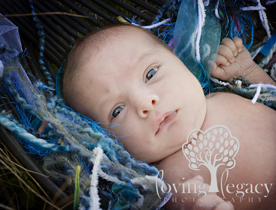 largo florida newborn photography angela sackett loving legacy photography