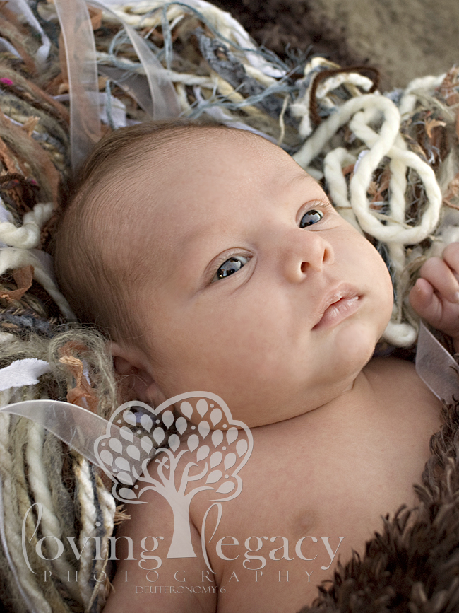 largo newborn portraits loving legacy photography