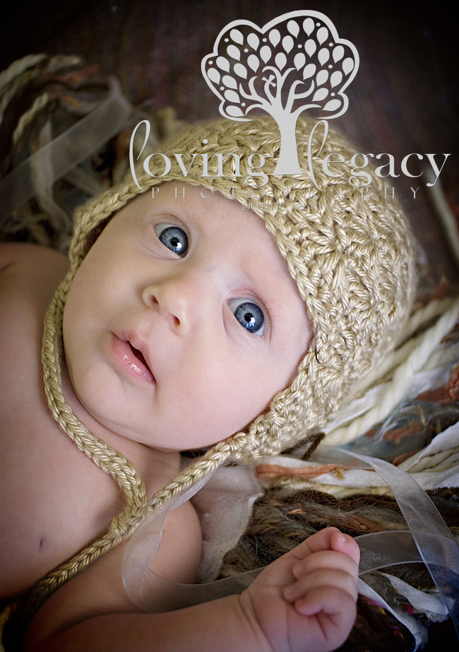 tampa newborn photographer angela sackett loving legacy photography