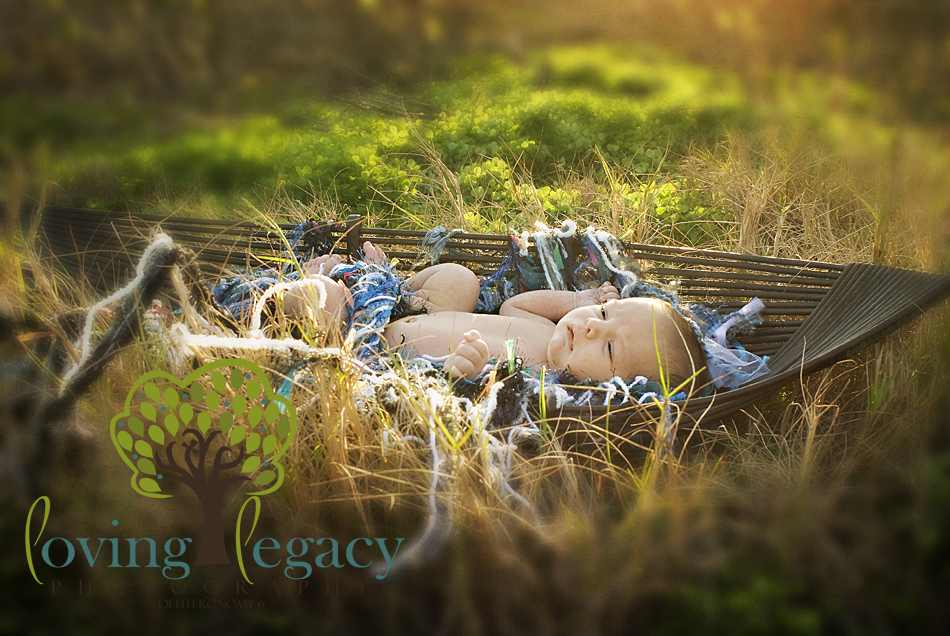 tampa newborn photographer loving legacy angela sackett