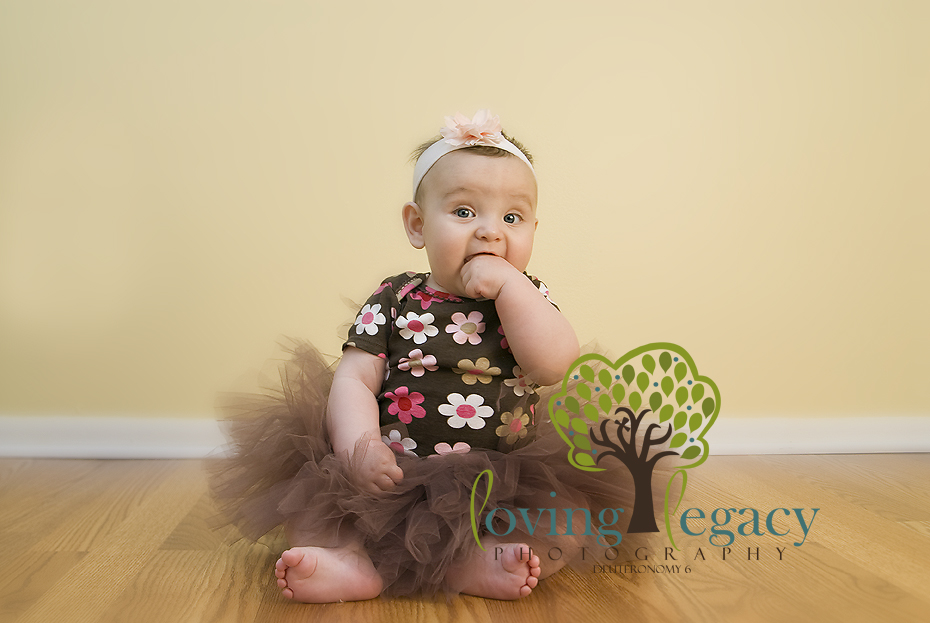 baby photographer loving legacy angela sackett baby photographer loving legacy angela sackett