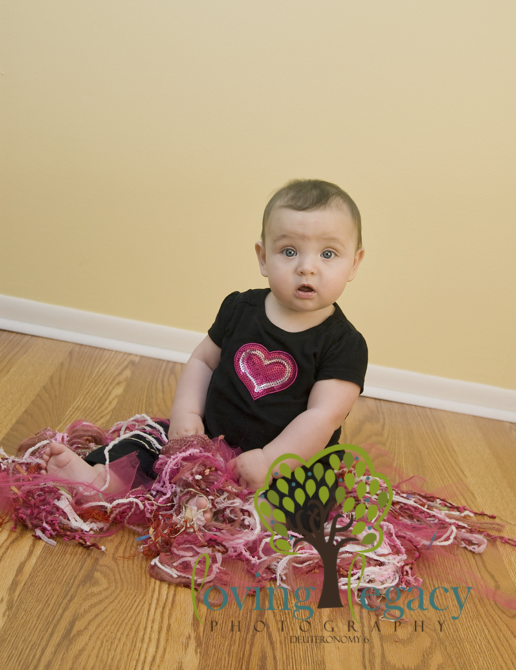 florida baby photographer angela sackett loving legacy photography florida baby photographer angela sackett loving legacy photography