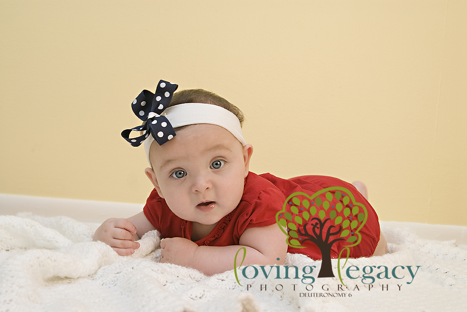 six months baby portraits tampa bay angela sackett six months baby portraits tampa bay angela sackett