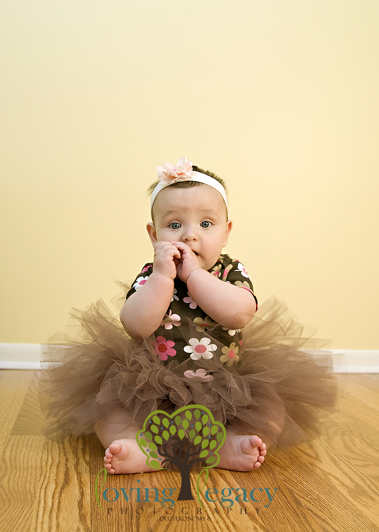 six months portraits loving legacy photography six months portraits loving legacy photography