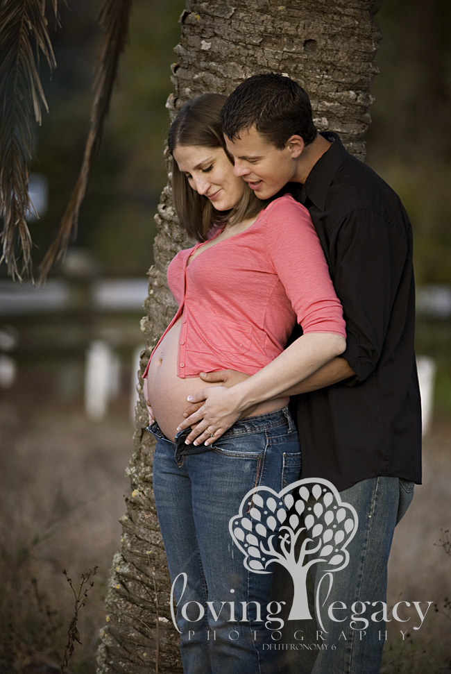 tampa bay maternity photographer angela sackett loving legacy tampa bay maternity photographer angela sackett loving legacy