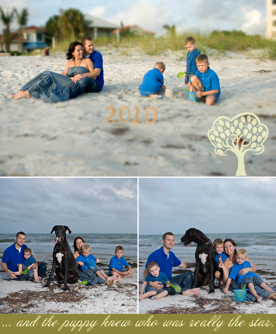 tampa bay photographer loving legacy