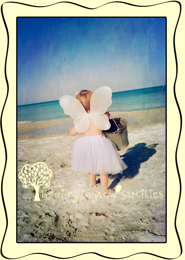 tampa beach photographer loving legacy photography 2
