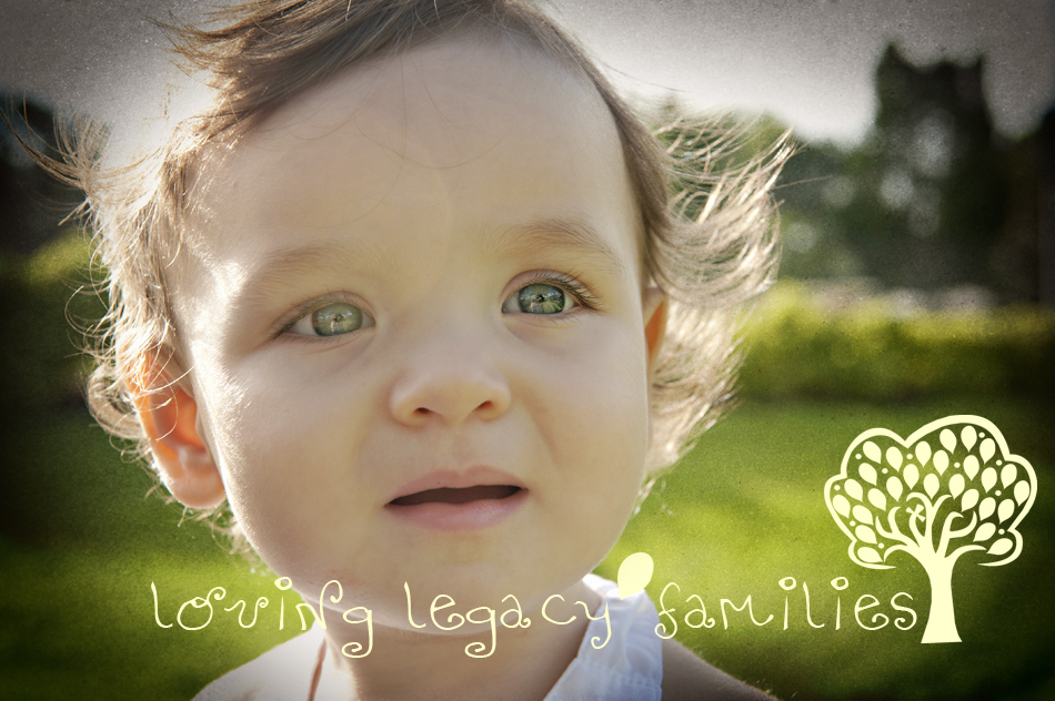 tampa clearwater st pete baby photographer loving legacy angela sackett 1