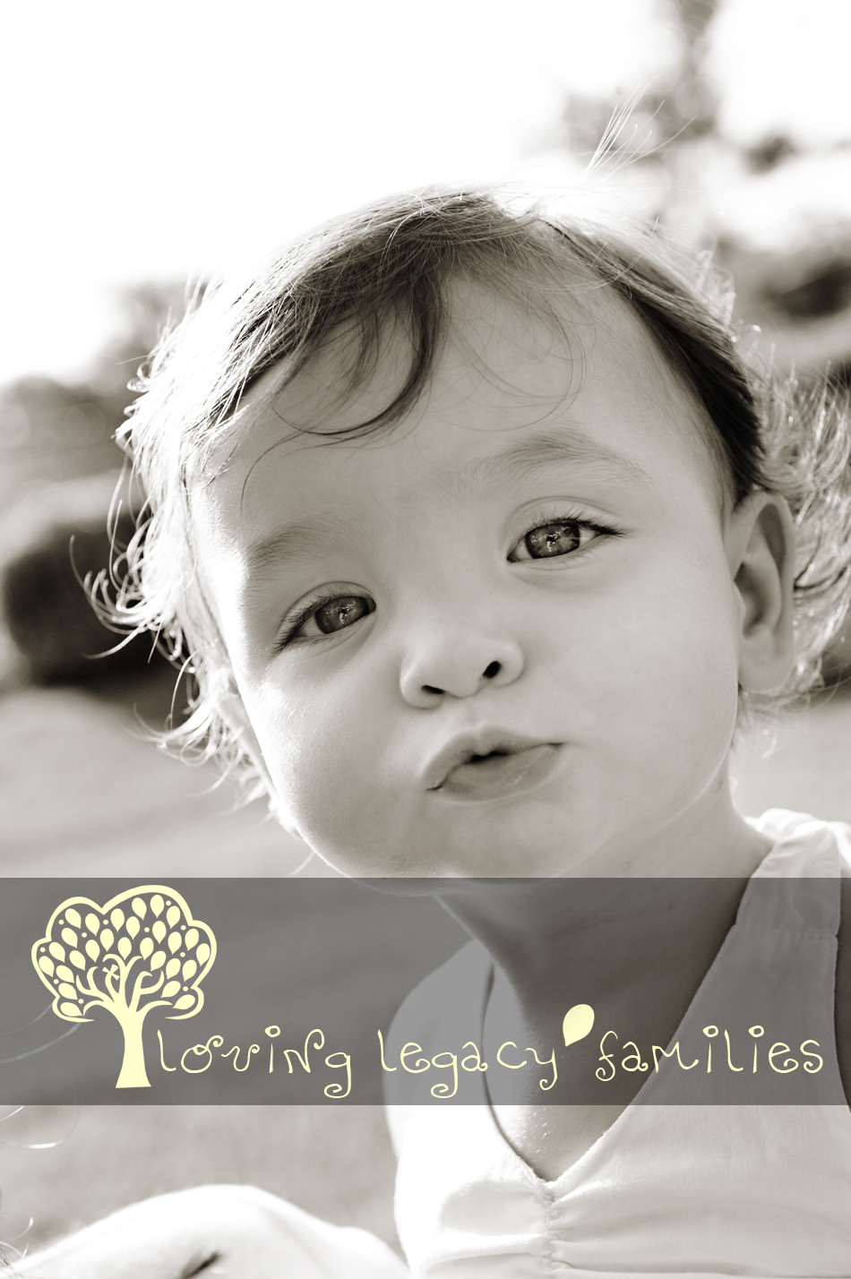 tampa clearwater st pete baby photographer loving legacy angela sackett 2