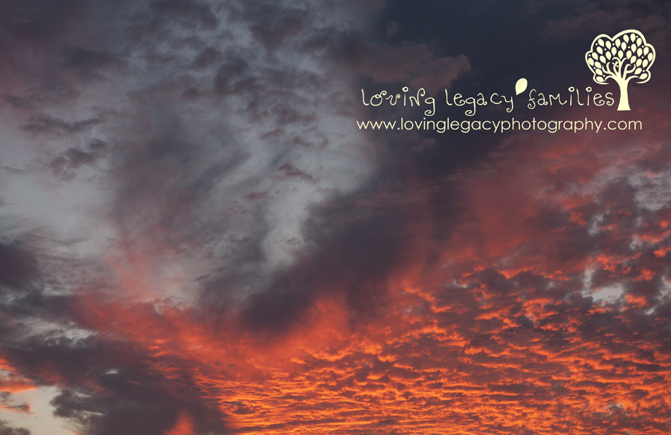 clearwater maternity portraits tampa bay maternity photography loving legacy 3