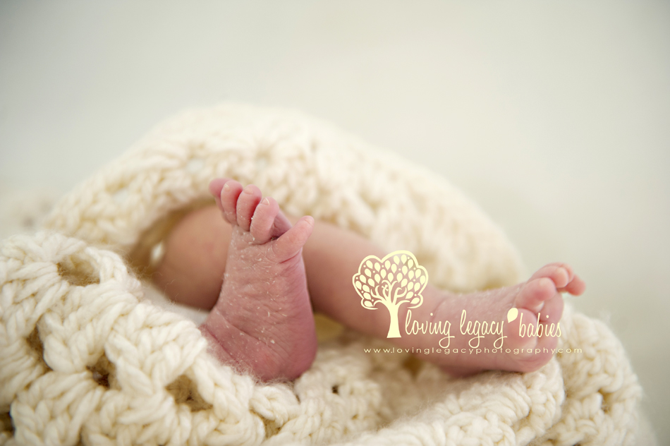 st pete clearwater belleair newborn photographer loving legacy photography