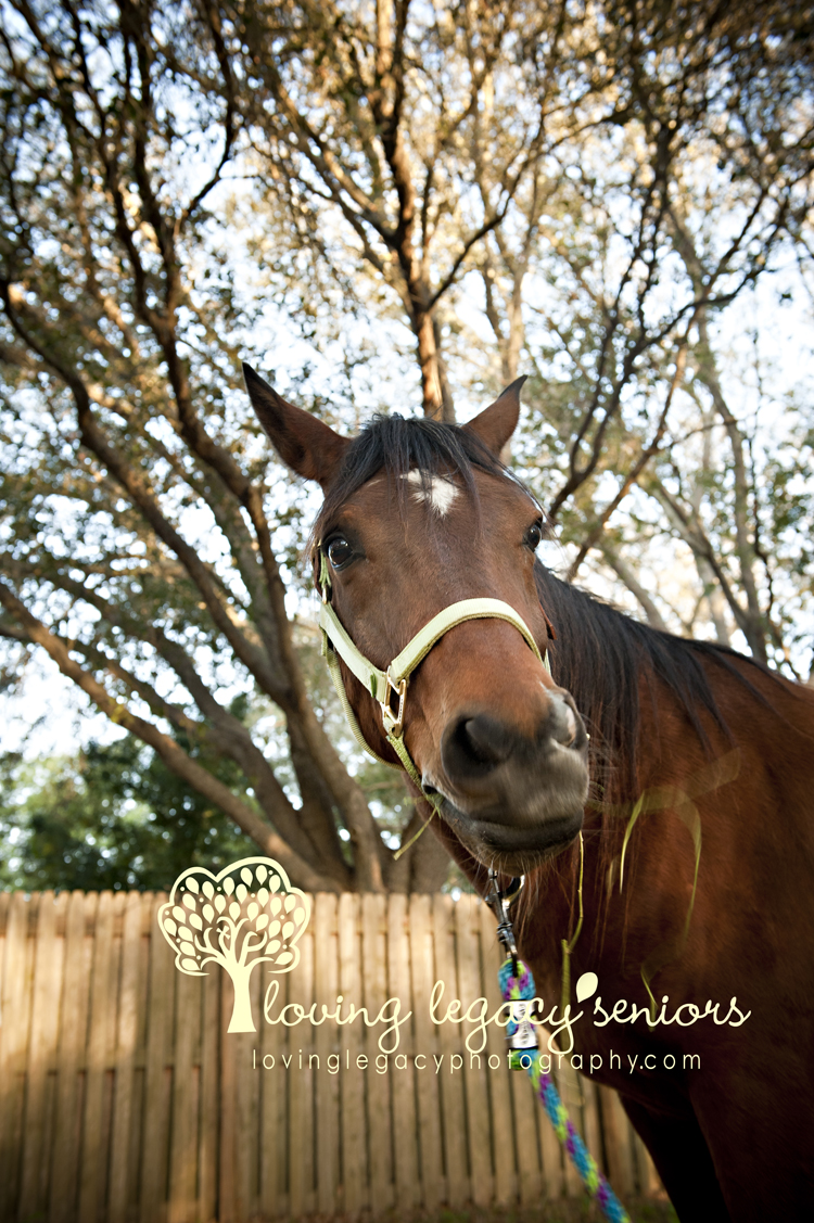 clearwater senior portraits horse photography loving legacy 10