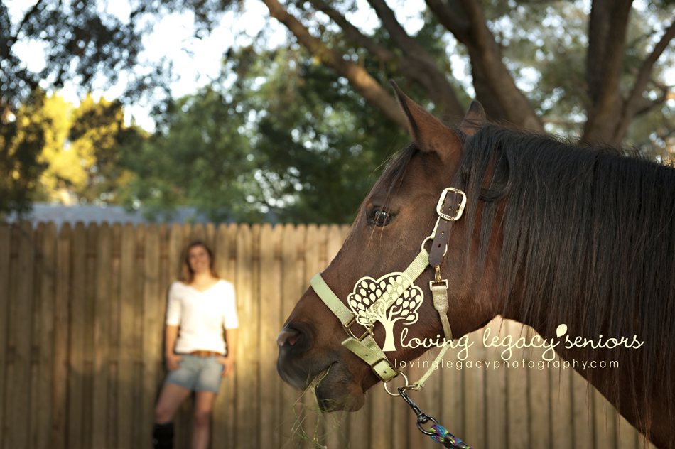 clearwater senior portraits horse photography loving legacy 11