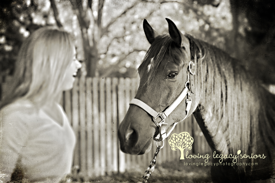 clearwater senior portraits horse photography loving legacy 8