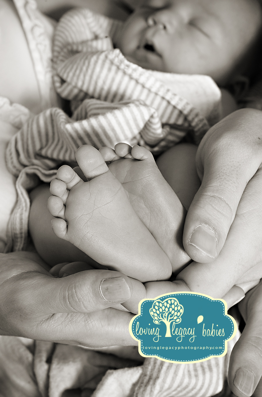 belleair clearwater st petersburg newborn photographer loving legacy 2011_008