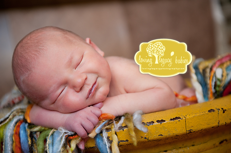 tampa bay newborn photographer loving legacy 2011_001