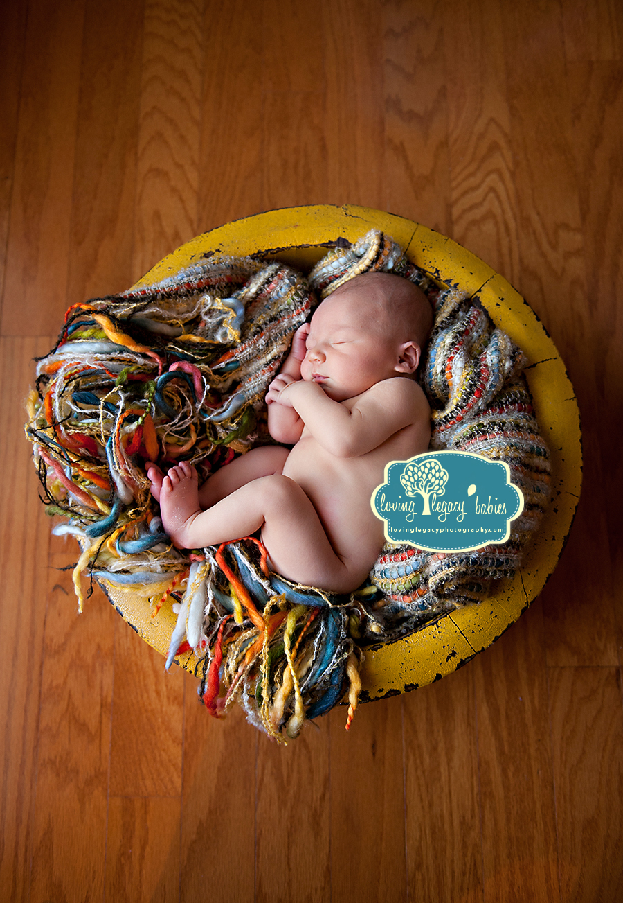 tampa bay newborn photographer loving legacy 2011_002