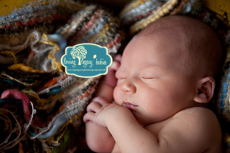 tampa bay newborn photographer loving legacy 2011_003