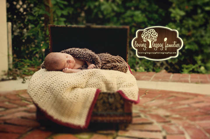clearwater belleair newborn photographer loving legacy 1