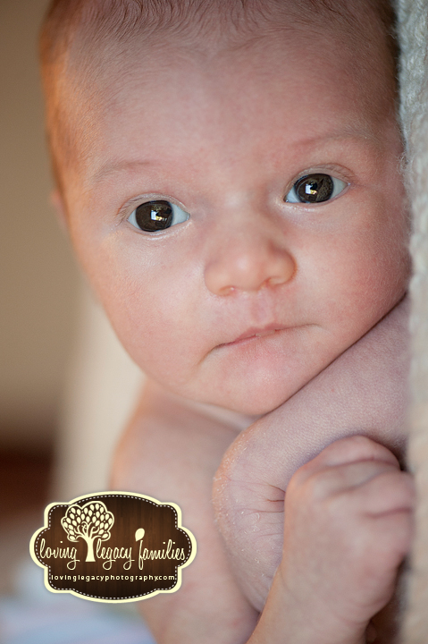 clearwater belleair newborn photographer loving legacy 5