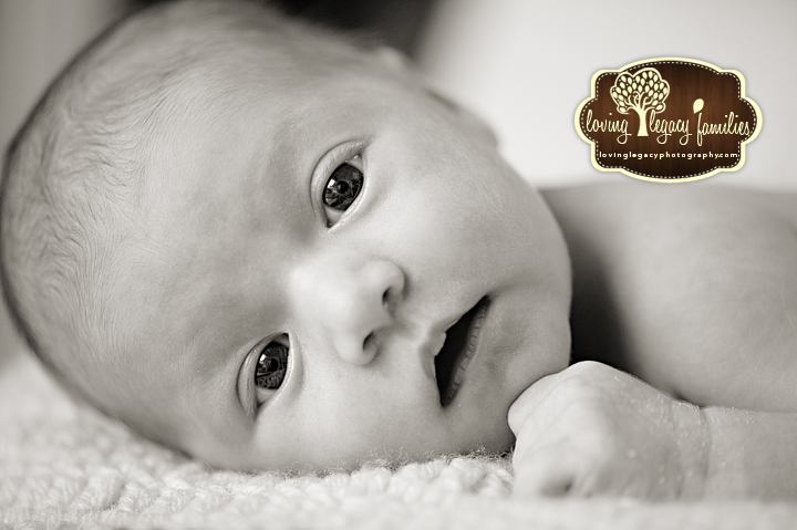 clearwater belleair newborn photographer loving legacy 6