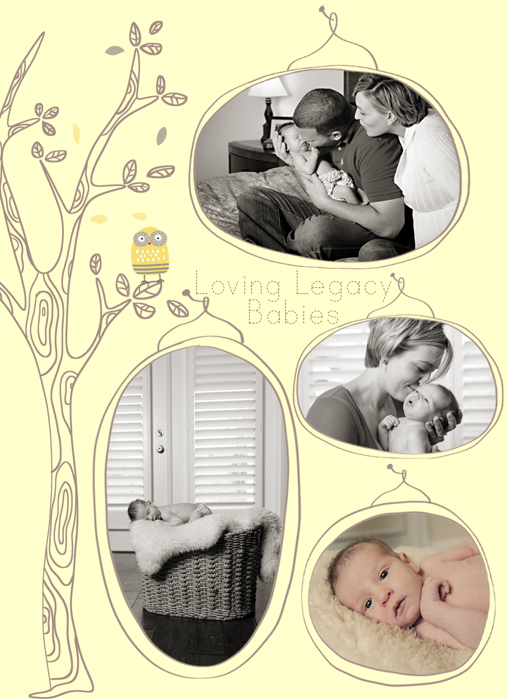 st pete newborn photographer loving legacy photography 2
